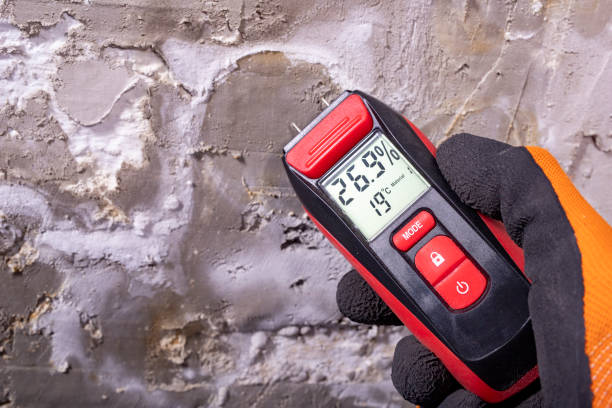 Best Mold Testing and Removal  in Coopersville, MI