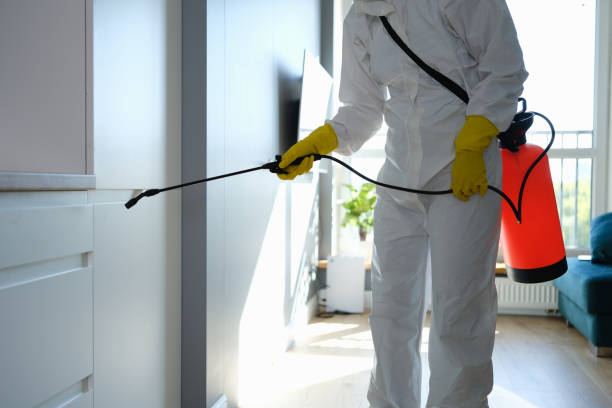 Best Fast Mold Removal  in Coopersville, MI