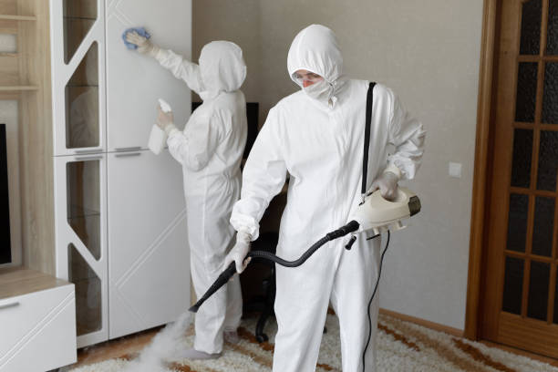 Best Residential Mold Removal  in Coopersville, MI