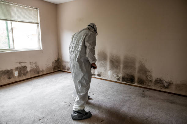Best Mold Testing  in Coopersville, MI